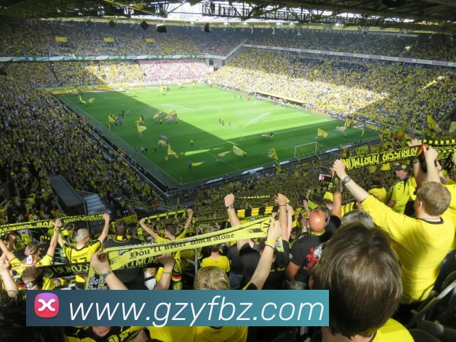 App Interface Preview